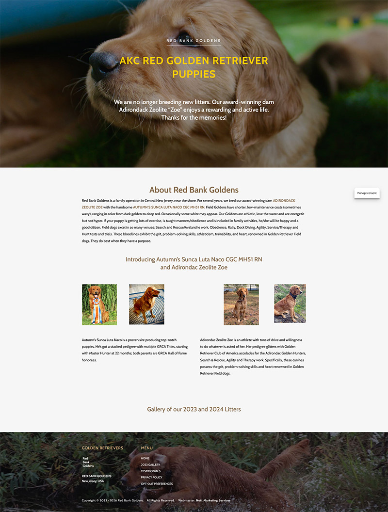 redbankgoldens-modelx800 dog breeder model